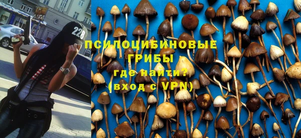 гидра Аркадак