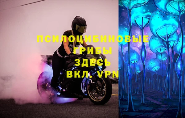 гидра Аркадак