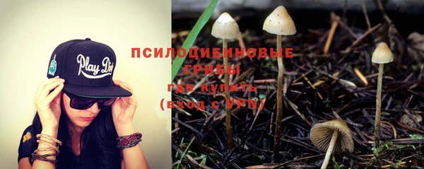 гидра Аркадак